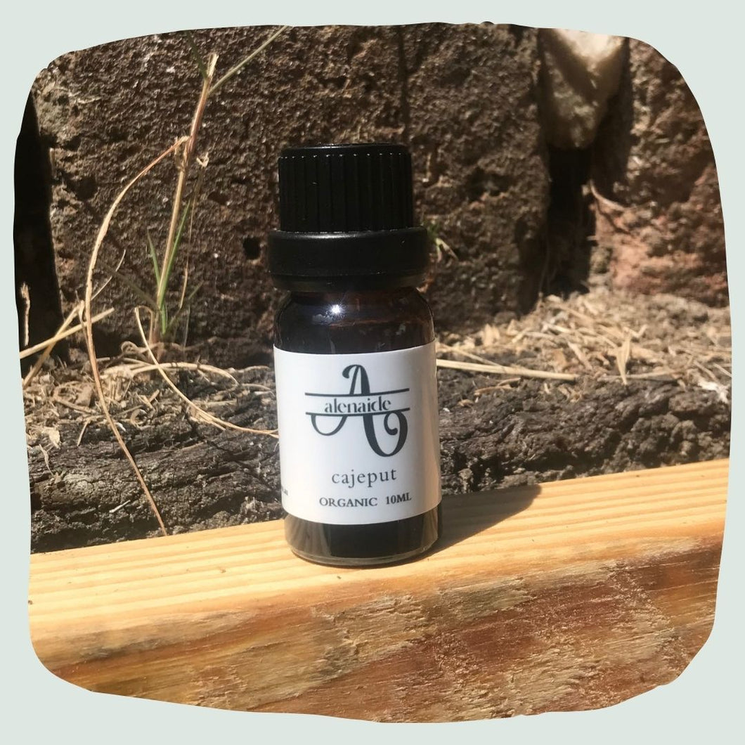 Cajeput Essential Oil - Organic