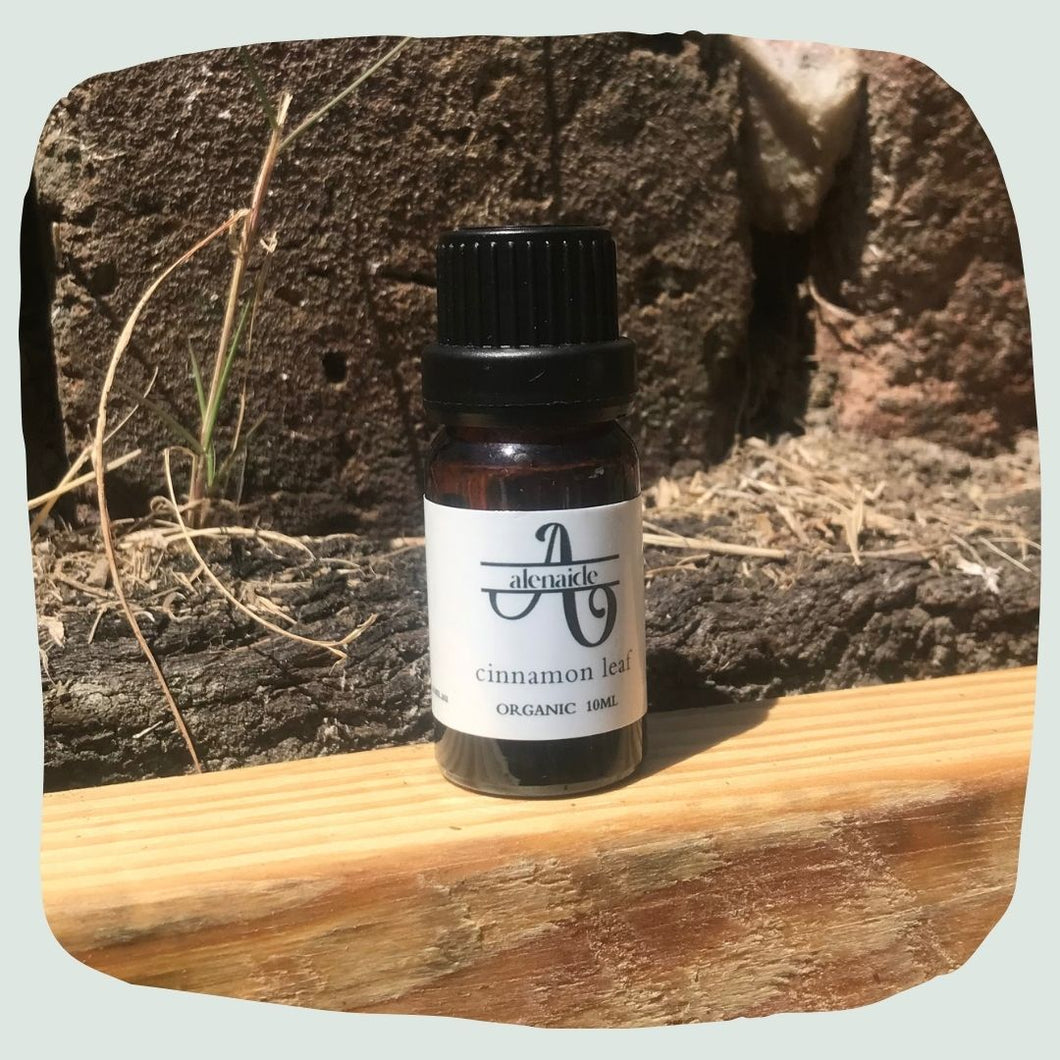 Cinnamon Leaf Essential Oil - Organic