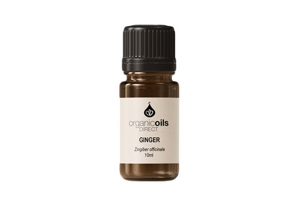 Ginger Essential Oil - Organic