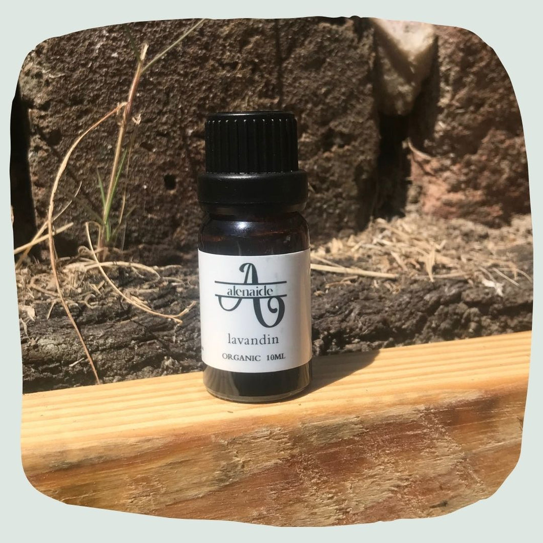 Lavandin Essential Oil - Organic