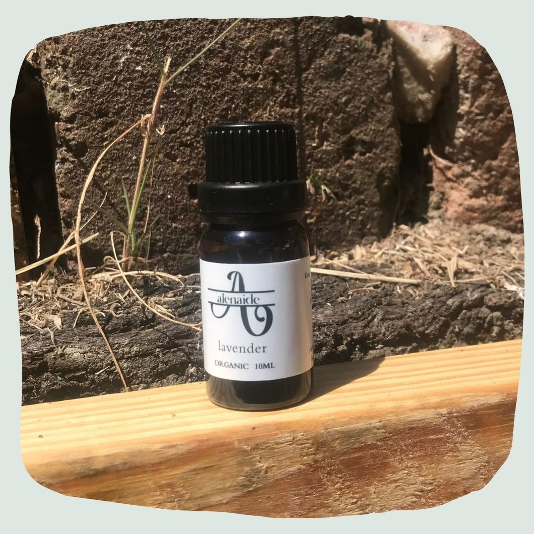 Lavender Essential oil - Organic