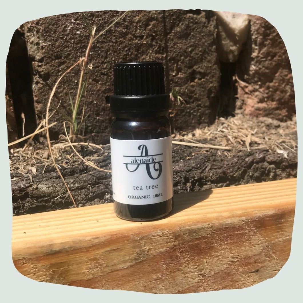 Tea Tree Essential Oil - Organic